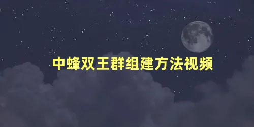 中蜂双王群组建方法视频