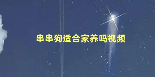 串串狗适合家养吗视频