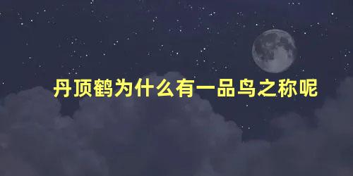 丹顶鹤为什么有一品鸟之称呢