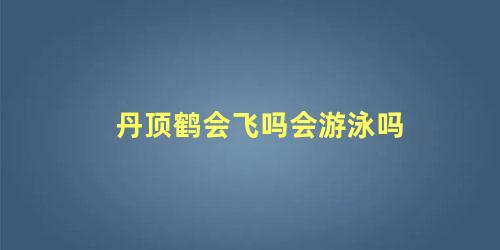 丹顶鹤会飞吗会游泳吗