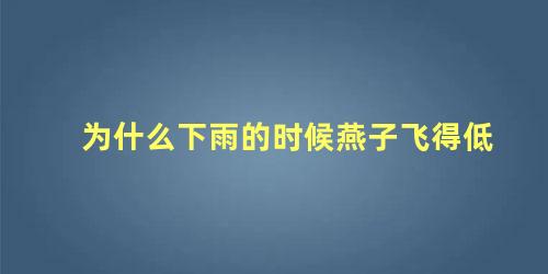 为什么下雨的时候燕子飞得低