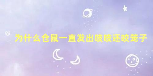 为什么仓鼠一直发出吱吱还咬笼子