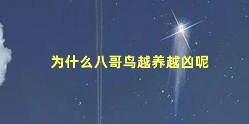 为什么八哥鸟越养越凶呢
