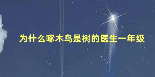为什么啄木鸟是树的医生一年级