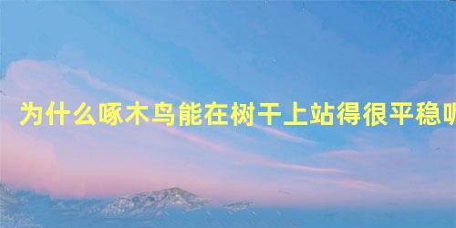 为什么啄木鸟能在树干上站得很平稳呢