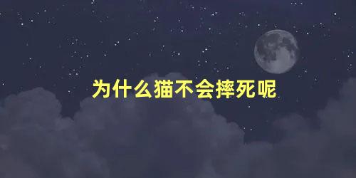 为什么猫不会摔死呢