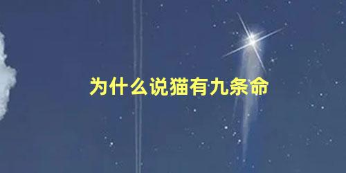 为什么说猫有九条命