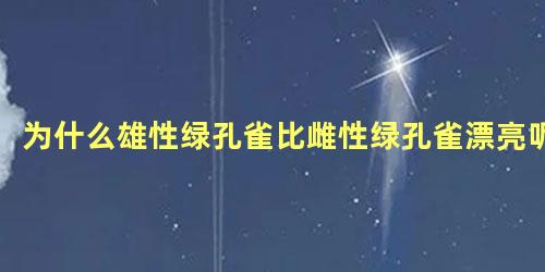 为什么雄性绿孔雀比雌性绿孔雀漂亮呢