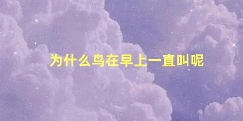 为什么鸟在早上一直叫呢