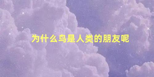 为什么鸟是人类的朋友呢