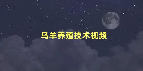 乌羊养殖技术视频