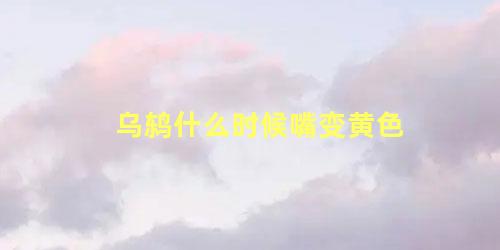 乌鸫什么时候嘴变黄色