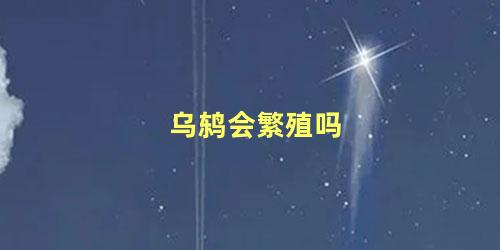 乌鸫会繁殖吗