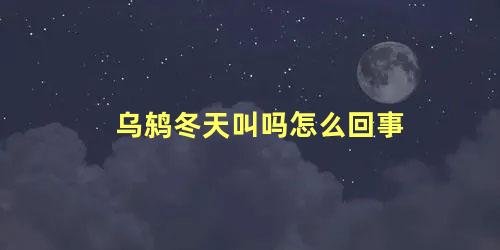 乌鸫冬天叫吗怎么回事