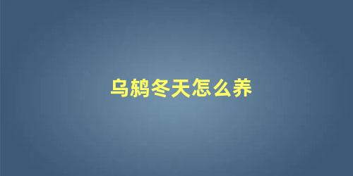 乌鸫冬天怎么养