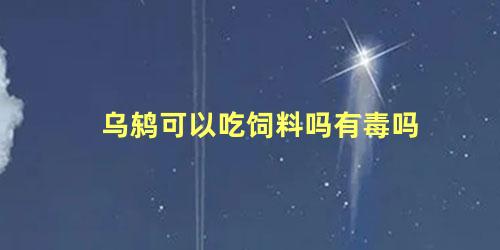 乌鸫可以吃饲料吗有毒吗