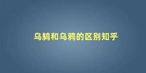 乌鸫和乌鸦的区别知乎