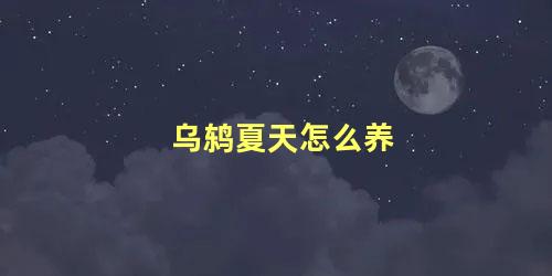 乌鸫夏天怎么养