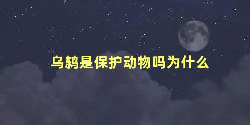 乌鸫是保护动物吗为什么