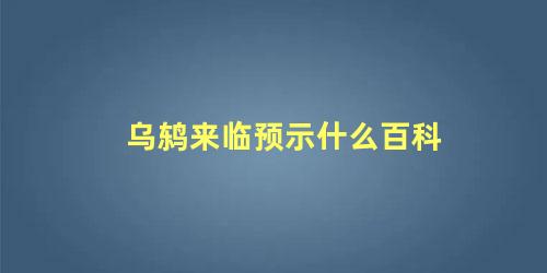 乌鸫来临预示什么百科