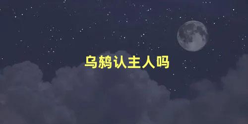 乌鸫认主人吗