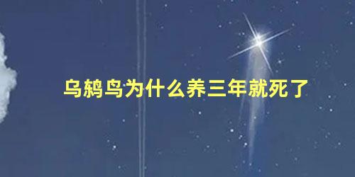 乌鸫鸟为什么养三年就死了