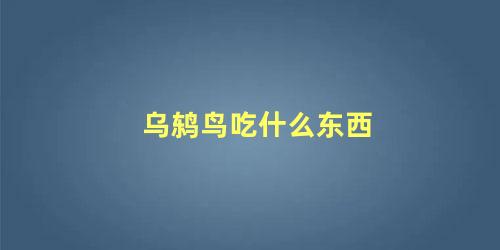 乌鸫鸟吃什么东西