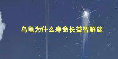 乌龟为什么寿命长益智解谜
