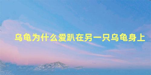 乌龟为什么爱趴在另一只乌龟身上