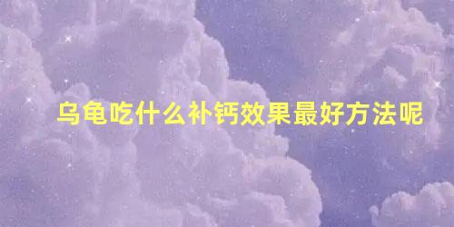 乌龟吃什么补钙效果最好方法呢