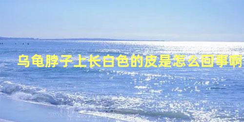 乌龟脖子上长白色的皮是怎么回事啊