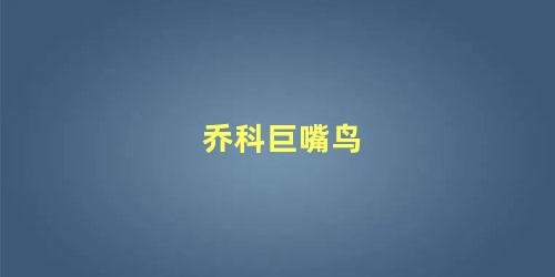 乔科巨嘴鸟