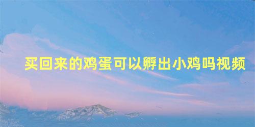 买回来的鸡蛋可以孵出小鸡吗视频