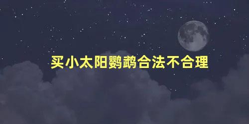 买小太阳鹦鹉合法不合理