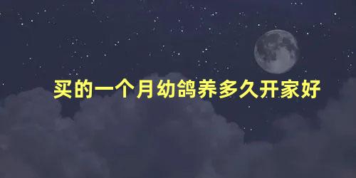 买的一个月幼鸽养多久开家好