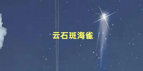 云石斑海雀