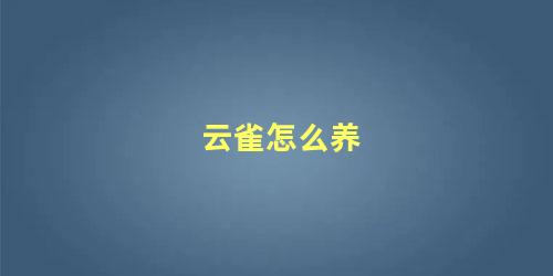 云雀怎么养