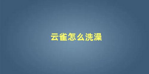 云雀怎么洗澡