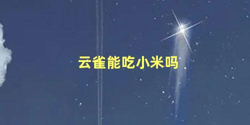 云雀能吃小米吗