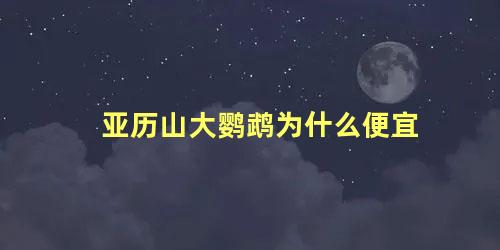 亚历山大鹦鹉为什么便宜