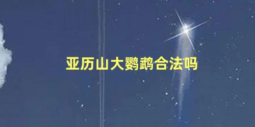 亚历山大鹦鹉合法吗