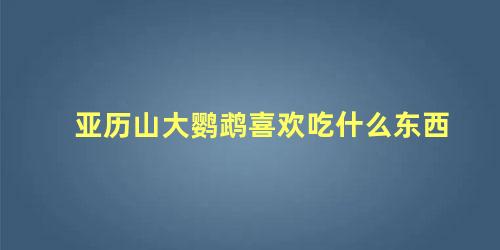亚历山大鹦鹉喜欢吃什么东西