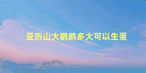 亚历山大鹦鹉多大可以生蛋