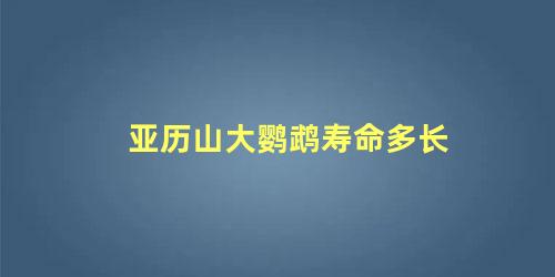 亚历山大鹦鹉寿命多长