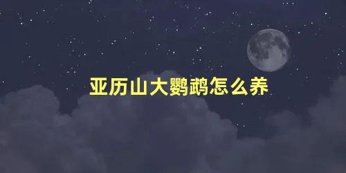 亚历山大鹦鹉怎么养