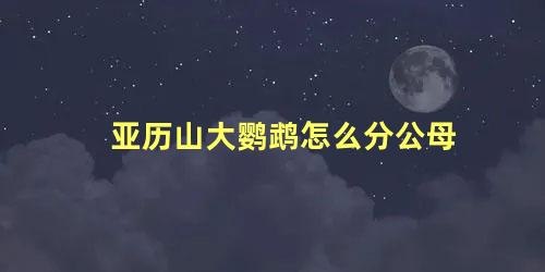 亚历山大鹦鹉怎么分公母