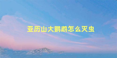 亚历山大鹦鹉怎么灭虫