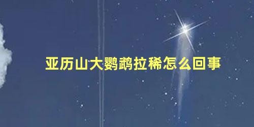 亚历山大鹦鹉拉稀怎么回事