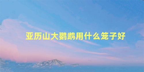 亚历山大鹦鹉用什么笼子好