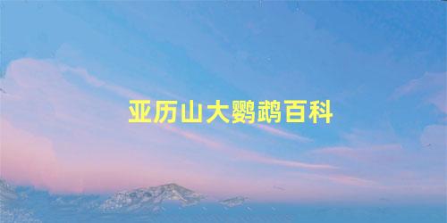 亚历山大鹦鹉百科